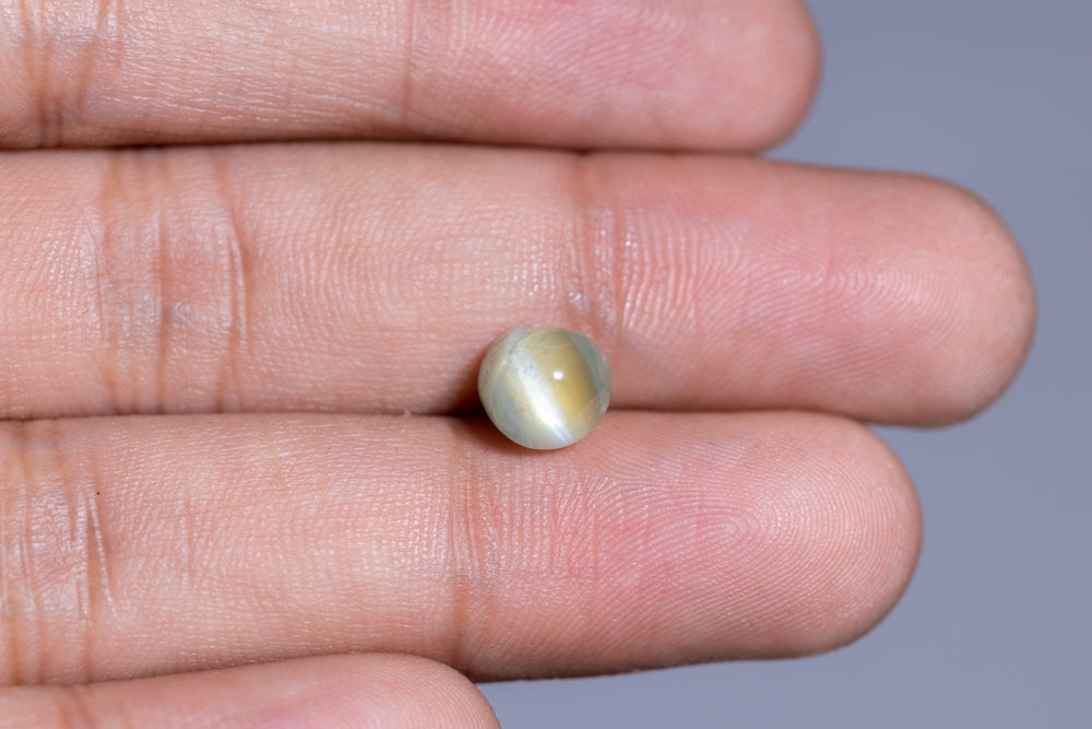 Natural Cat'S Eye (Lehsuniya) 5.13 Carats / 5.64 Ratti