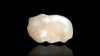 Venezuela Pearl 10.01 Carats / 11 Ratti