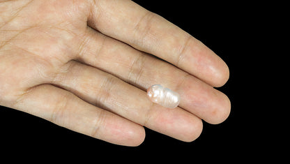 Venezuela Pearl 10.01 Carats / 11 Ratti