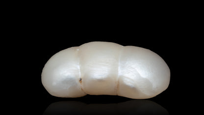 Basra Pearl 2.54 Carats / 2.79 Ratti