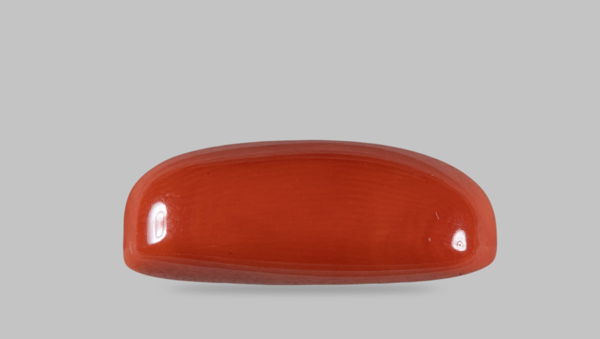Italian Red Coral 14.19 Carats / 14 Ratti