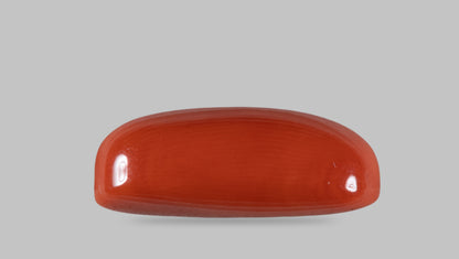 Italian Red Coral 14.19 Carats / 14 Ratti