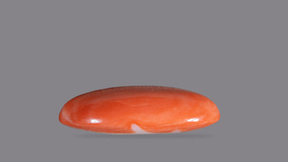 Japanese Red Coral 23.92 Carats / 26.29 Ratti