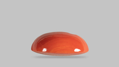 Japanese Red Coral 29.31 Carats / 32.21 Ratti