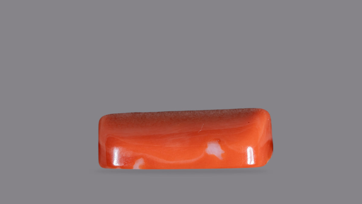 Japanese Red Coral 21.15 Carats / 23.24 Ratti