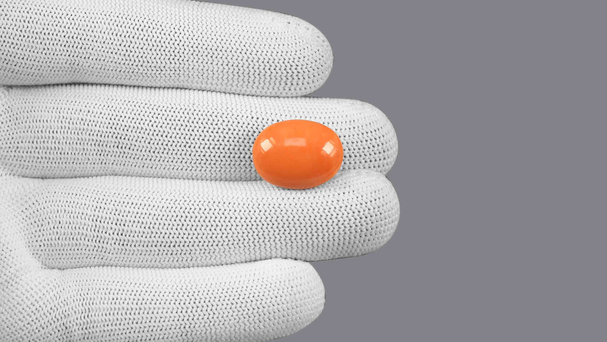 Japanese Red Coral 16.14 Carats / 17.74 Ratti