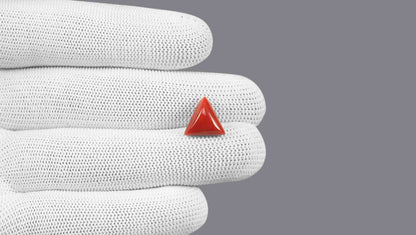 Italian Red Coral 5.62 Carats / 6.18 Ratti