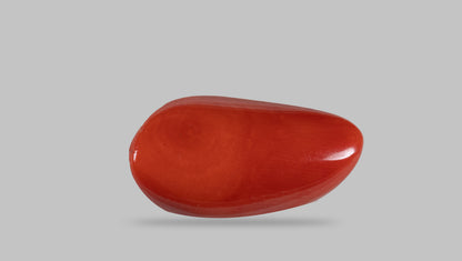 Italian Red Coral 18.05 Carats / 19.84 Ratti