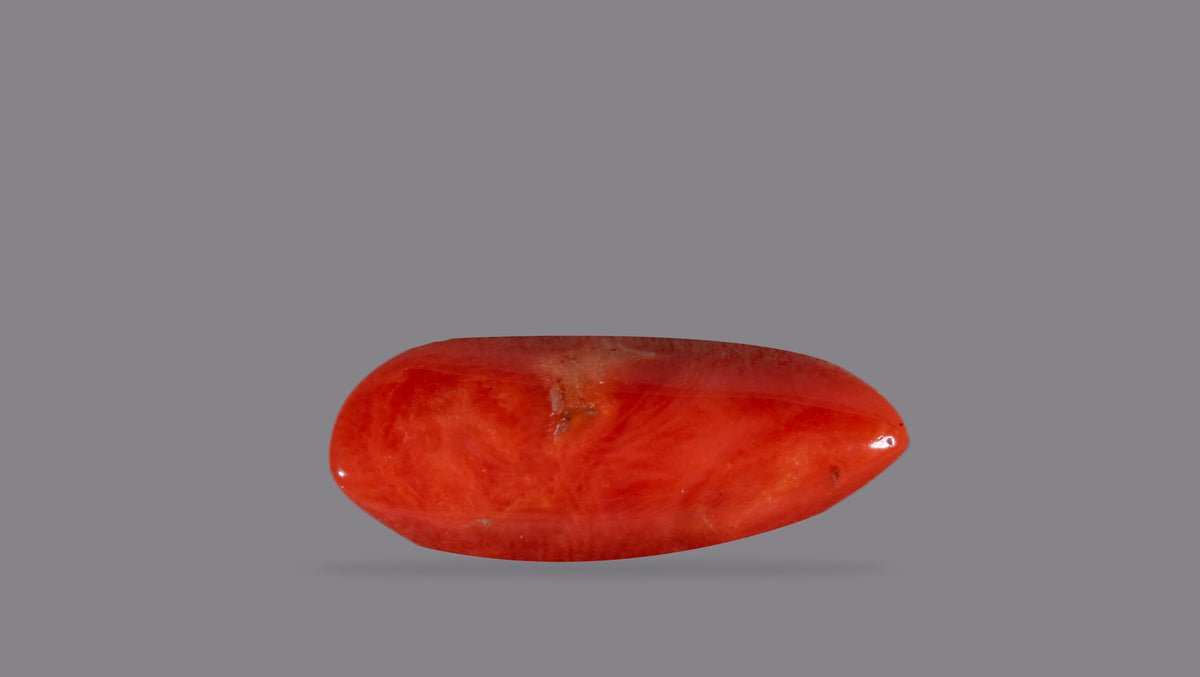 Italian Red Coral 11.81 Carats / 12.98 Ratti