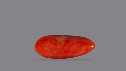 Italian Red Coral 11.81 Carats / 12.98 Ratti