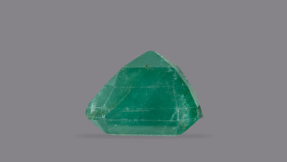Zambian Emerald (Panna) 13.99 Carats / 15.37 Ratti