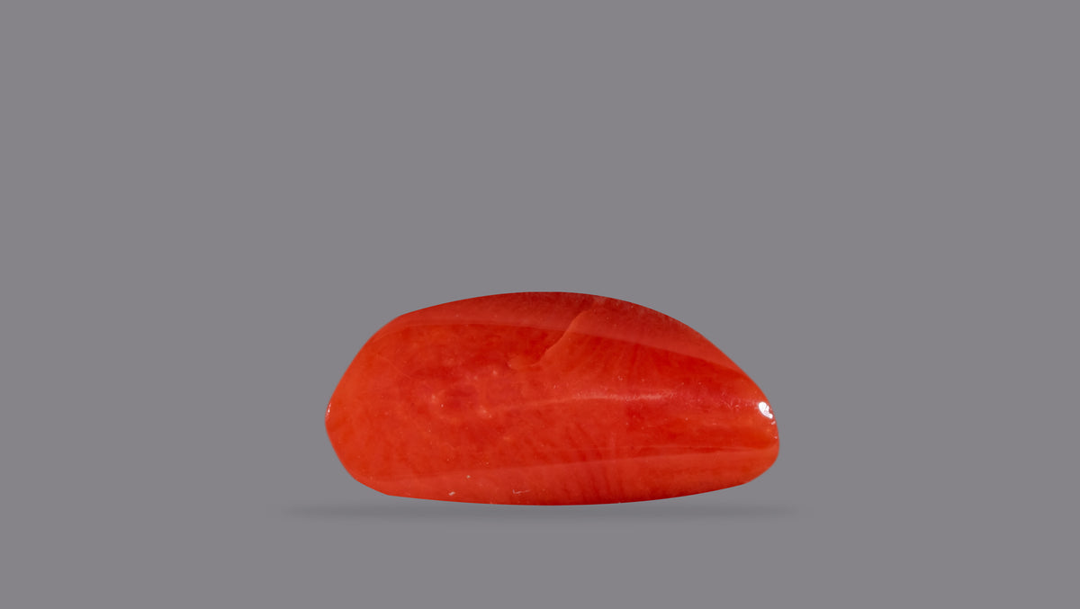 Italian Red Coral 6.54 Carats / 7.19 Ratti