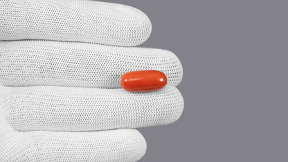 Italian Red Coral 15.82 Carats / 17.38 Ratti