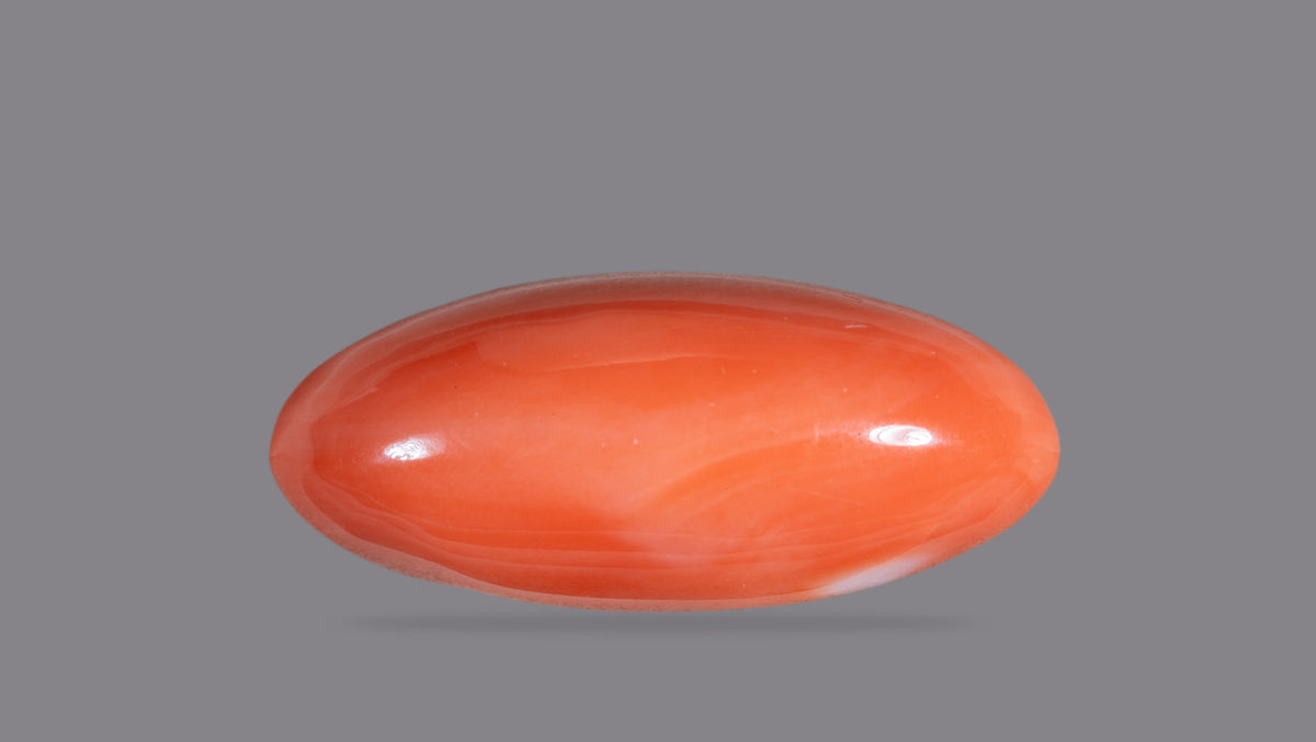 Japanese Red Coral 46.06 Carats / 50.62 Ratti