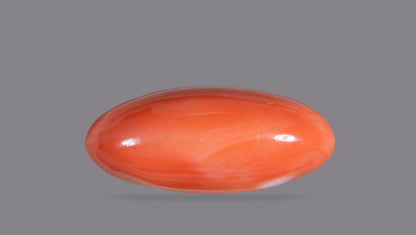 Japanese Red Coral 46.06 Carats / 50.62 Ratti