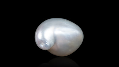 Venezuela Pearl 10.32 Carats / 11.34 Ratti