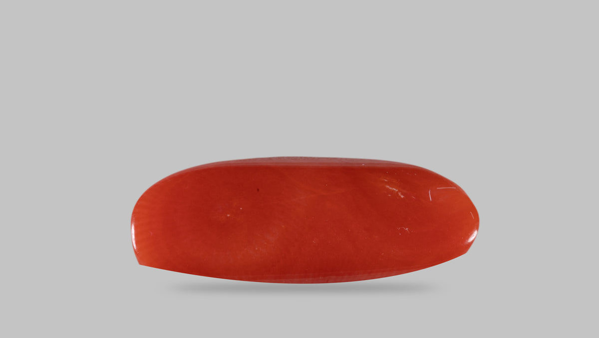 Italian Red Coral 14.05 Carats / 15.44 Ratti