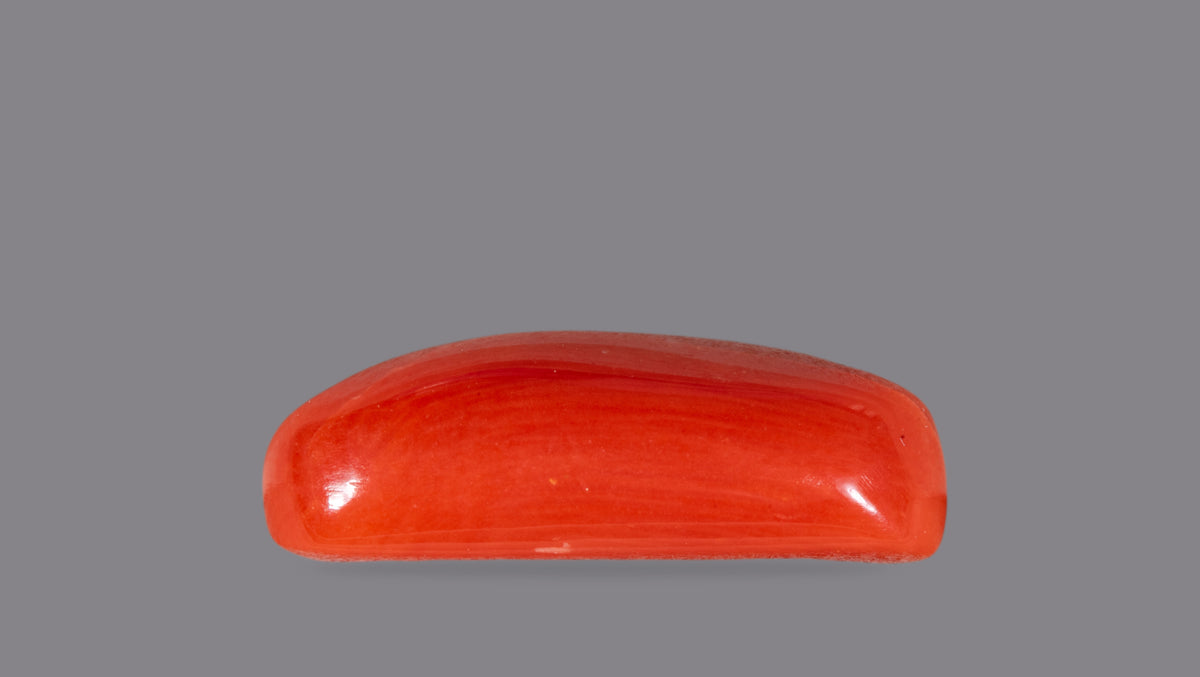 Italian Red Coral 5.91 Carats / 6.49 Ratti