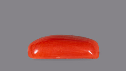 Italian Red Coral 5.91 Carats / 6.49 Ratti
