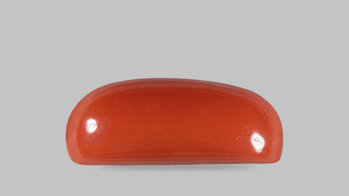 Italian Red Coral 11.66 Carats / 12.81 Ratti