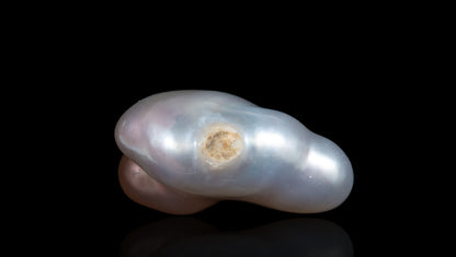 Venezuela Pearl 5.54 Carats / 6.09 Ratti
