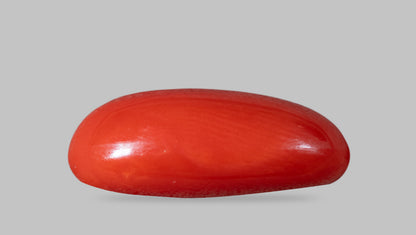Italian Red Coral 8.37 Carats / 9.2 Ratti