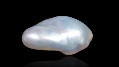 Venezuela Pearl 7.37 Carats / 8.1 Ratti