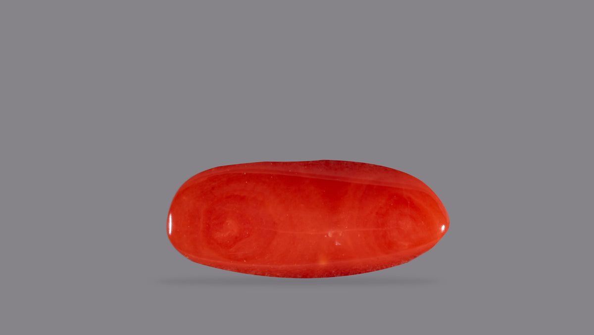 Italian Red Coral 6.45 Carats / 7.09 Ratti