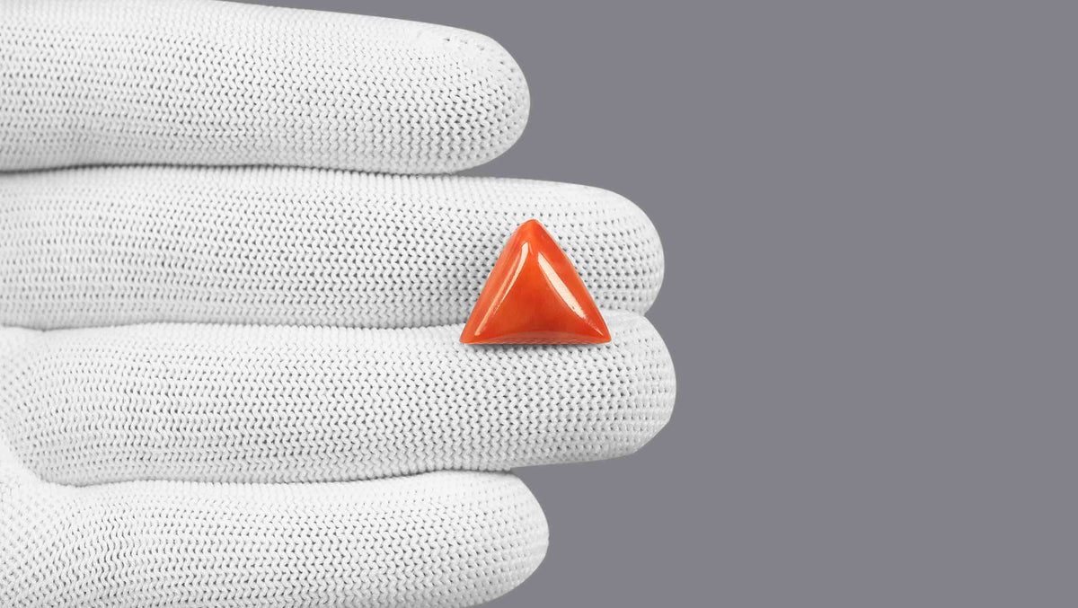 Italian Red Coral 12.08 Carats / 13.27 Ratti