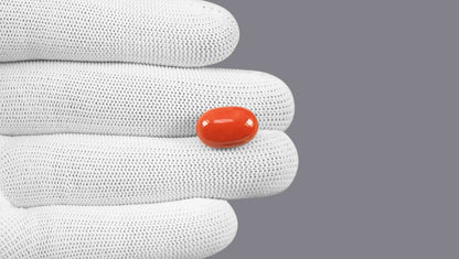 Italian Red Coral 11.64 Carats / 12.79 Ratti