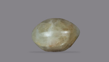 Cat's Eye (Lehsuniya) 4.52 Carats / 4.97 Ratti