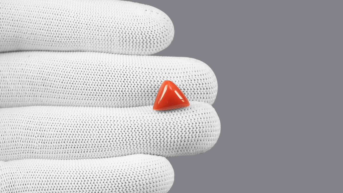 Italian Red Coral 5.92 Carats / 6.51 Ratti