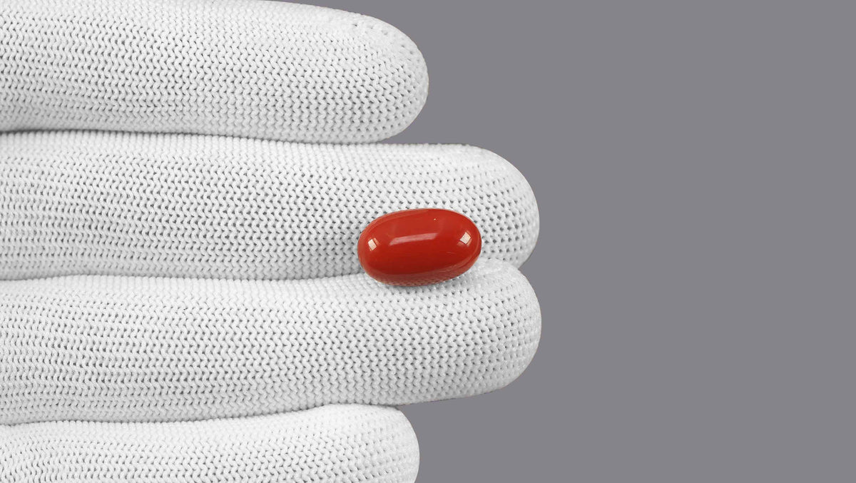 Italian Red Coral 10.46 Carats / 11.49 Ratti