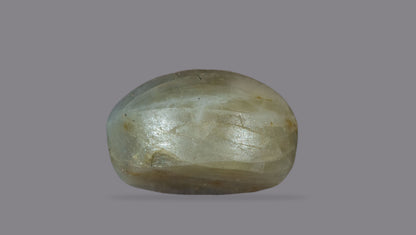 Cat's Eye (Lehsuniya) 8.07 Carats / 8.87 Ratti