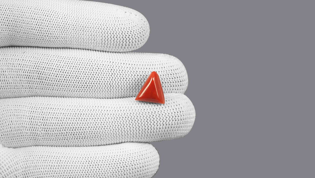 Italian Red Coral 5.74 Carats / 6.31 Ratti