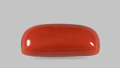 Italian Red Coral 14.19 Carats / 15.59 Ratti