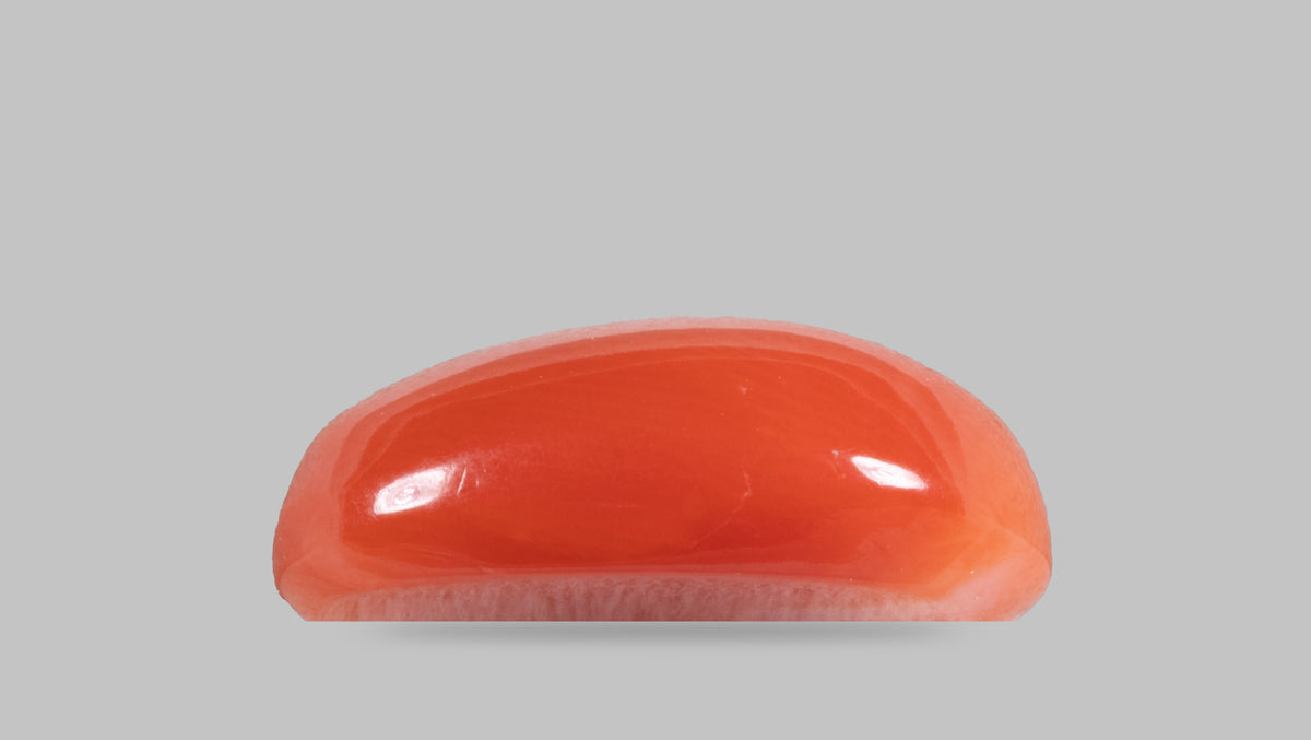 Japanese Red Coral 5.24 Carats / 5.76 Ratti