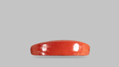 Japanese Red Coral 12.81 Carats / 14.08 Ratti
