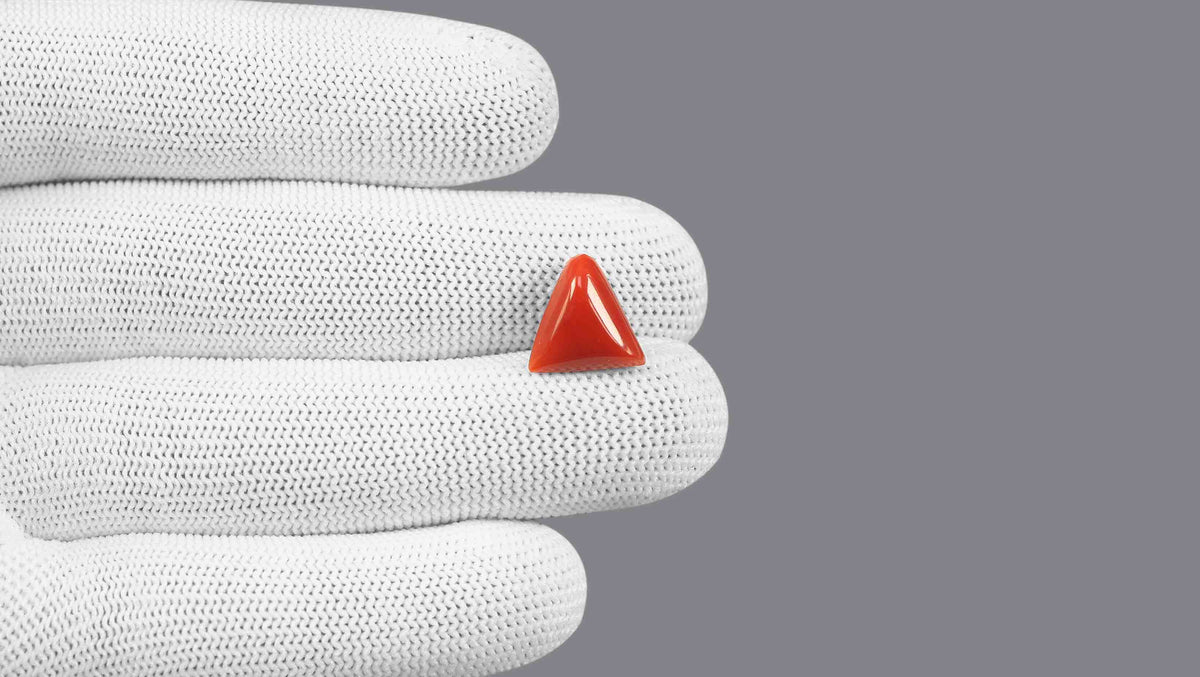 Italian Red Coral 6.26 Carats / 6.88 Ratti