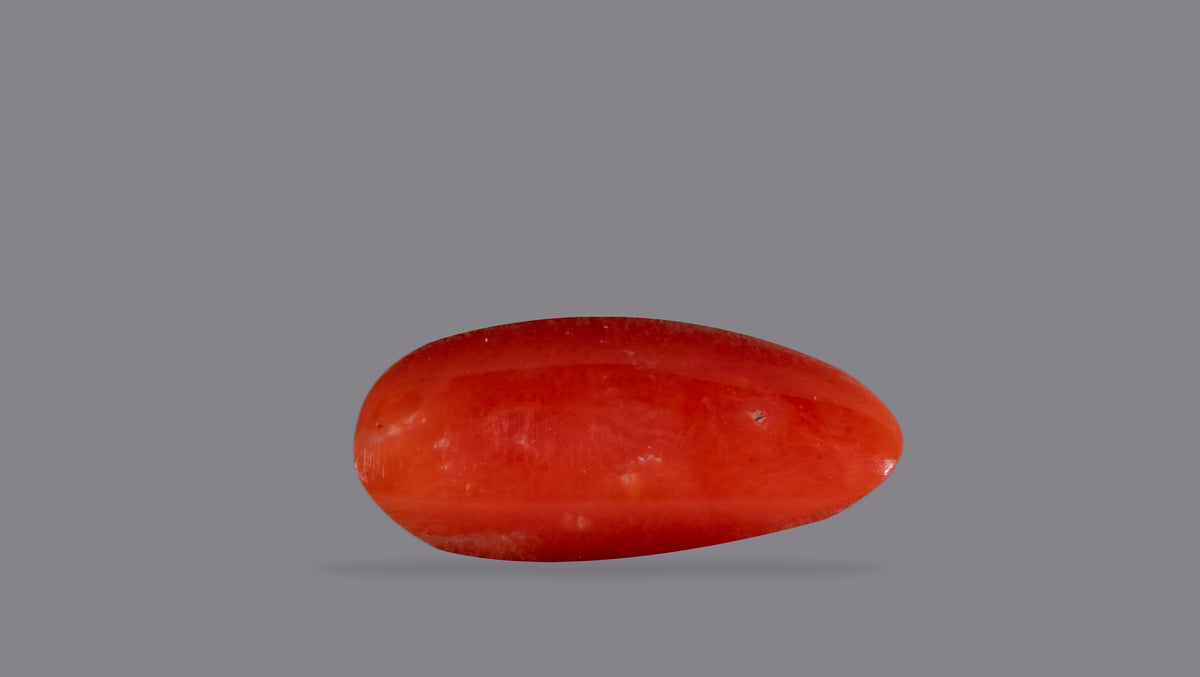 Italian Red Coral 6.26 Carats / 6.88 Ratti