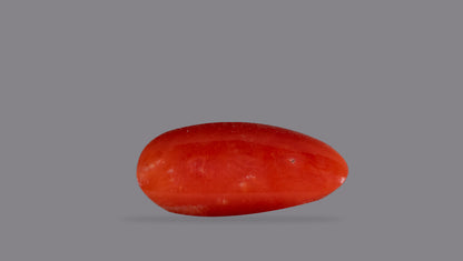 Italian Red Coral 6.26 Carats / 6.88 Ratti