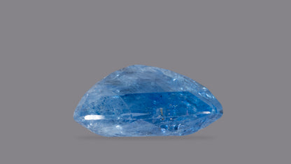Natural Blue Sapphire 8.75 Carats / 9.62 Ratti