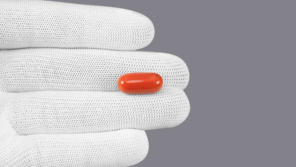 Italian Red Coral 14.19 Carats / 15.59 Ratti