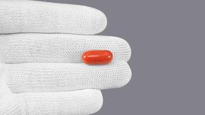 Italian Red Coral 14.19 Carats / 15.59 Ratti