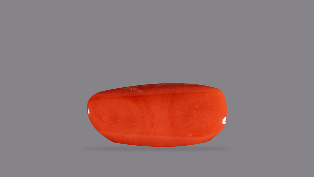 Italian Red Coral 6.75 Carats / 7.42 Ratti