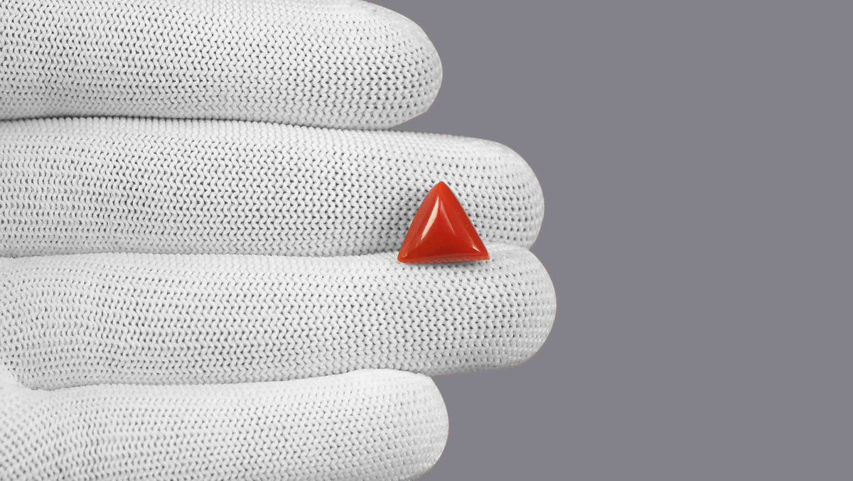 Italian Red Coral 5.74 Carats / 6.31 Ratti