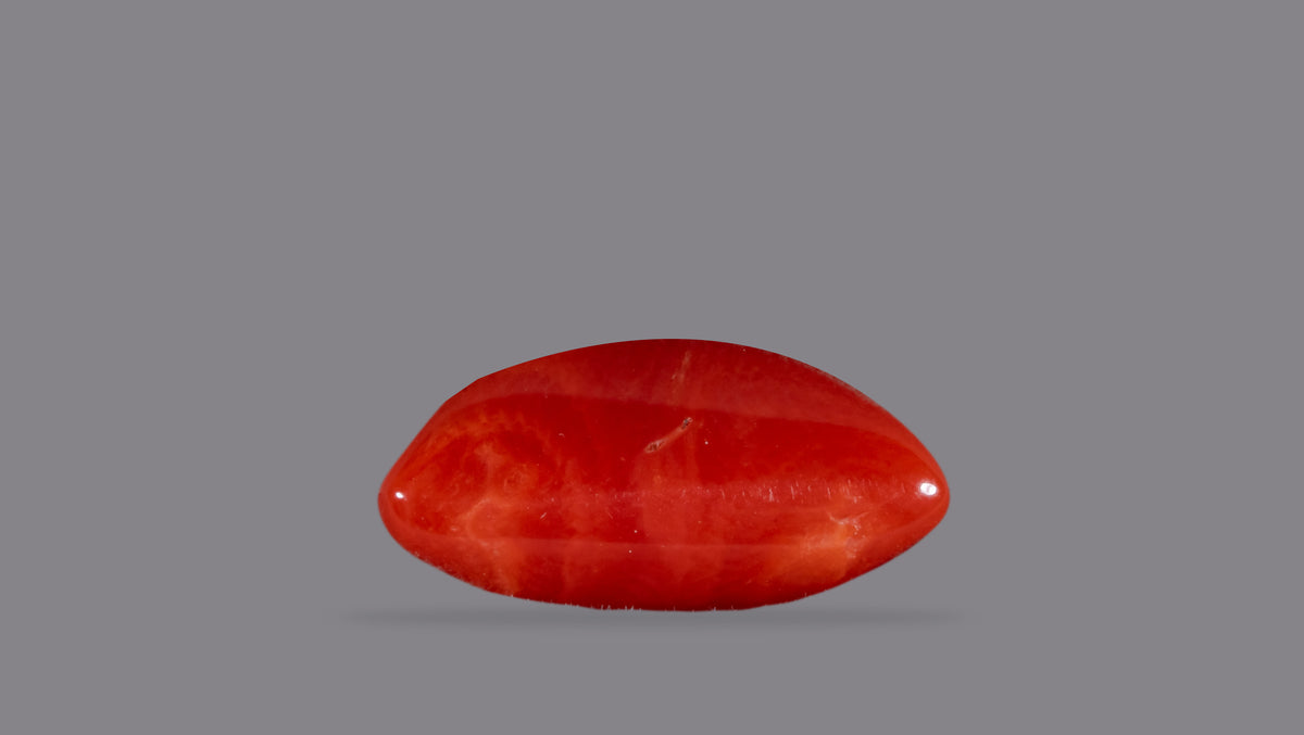 Italian Red Coral 6.28 Carats / 6.9 Ratti
