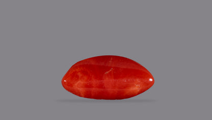 Italian Red Coral 6.28 Carats / 6.9 Ratti