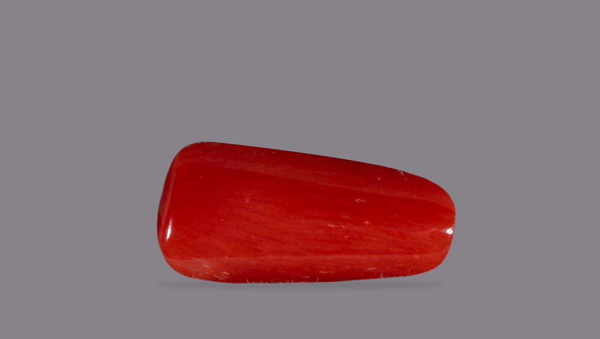 Italian Red Coral 6.16 Carats / 6.77 Ratti