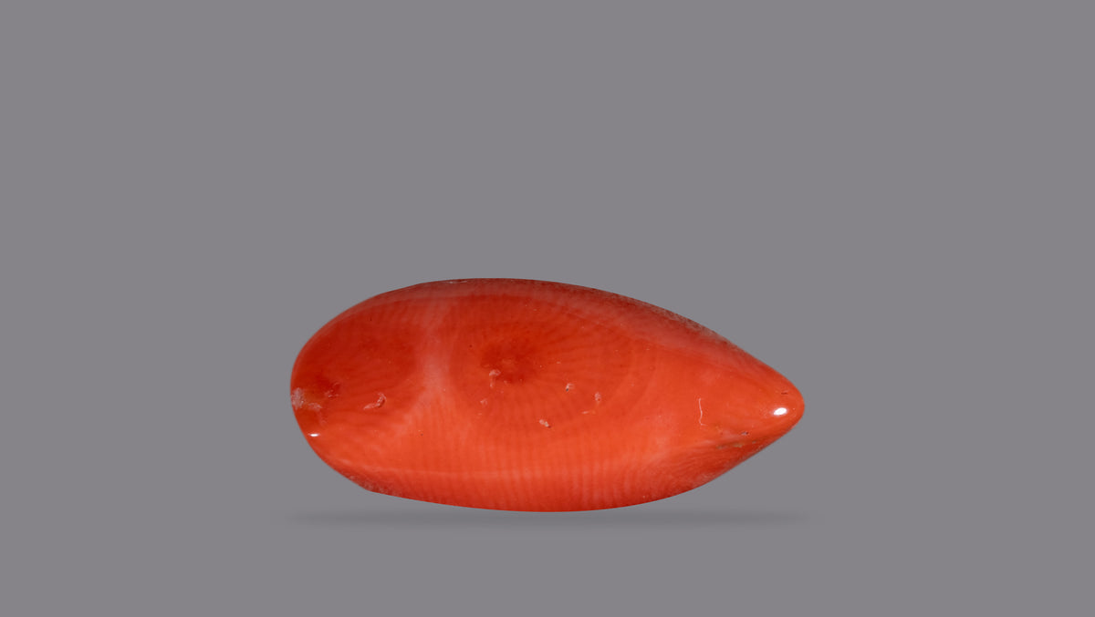 Italian Red Coral 9.67 Carats / 10.63 Ratti